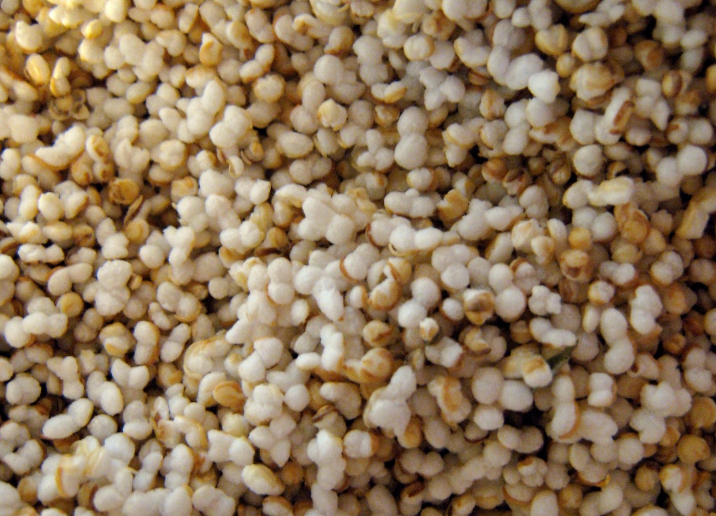 Come cucinare l'amaranto
