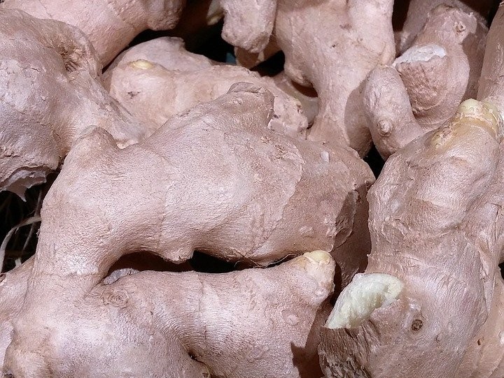 Curcuma e Zenzero