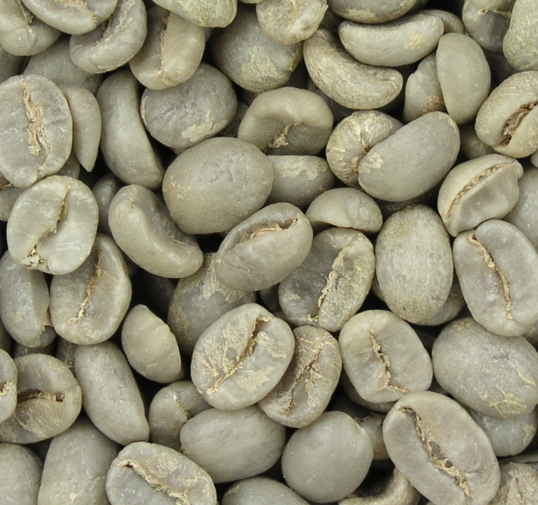 Chicchi di caffè verde