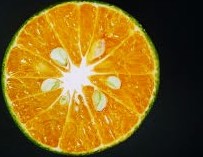 Cos'è il Succo di Calamansi?