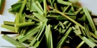 Come scegliere e acquistare la citronella?