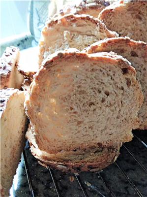 fette biscottate con farina e fiocchi d,avena 