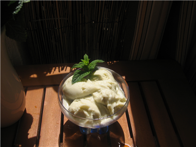 gelato alla menta